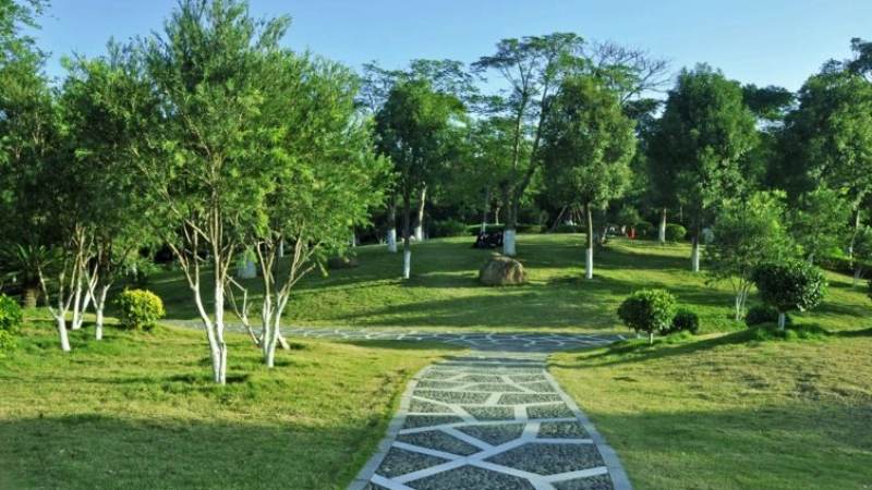 军棋暗棋玩法怎么玩?从布阵到判定的完整规则解析