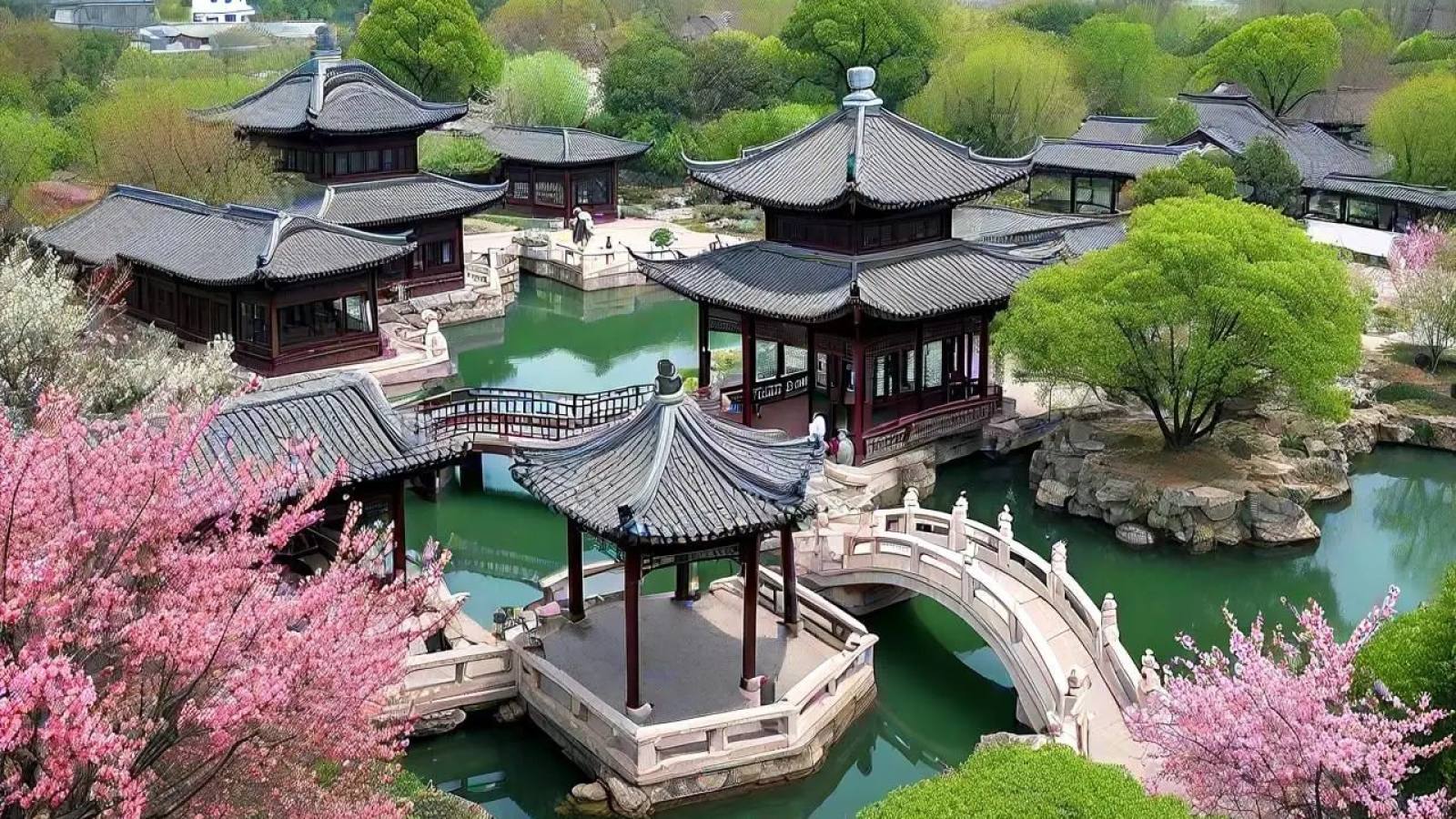 金年会苗木培育基地的成片绿植
